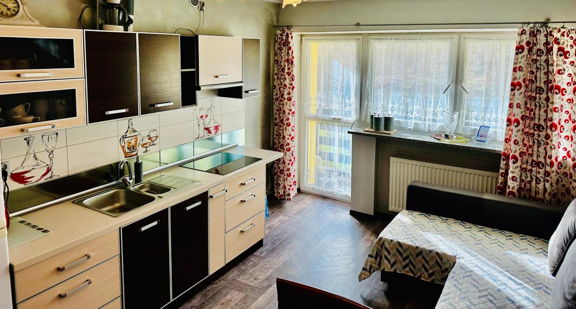 Apartament Nad Kamienczykiem II 斯克拉斯卡波伦巴 外观 照片